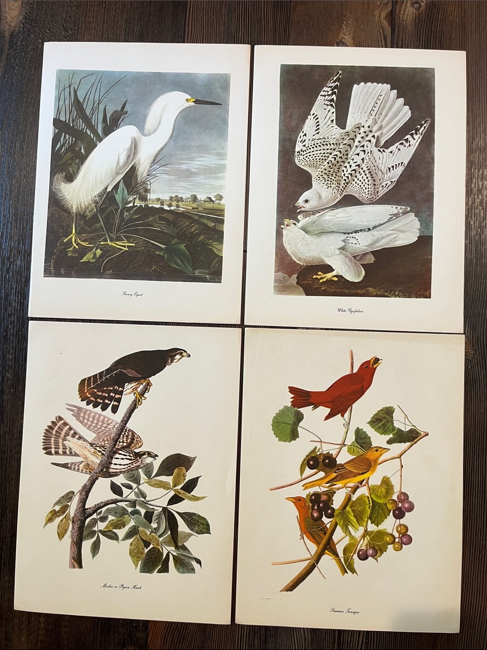 Audubon Birds Of America Prints (L11)